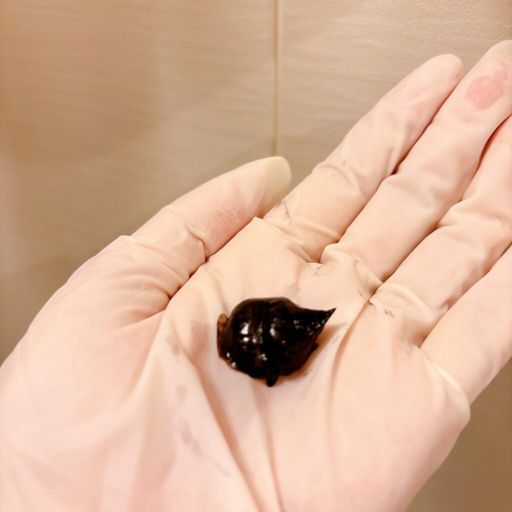 サイオス カラートリートメント　ダークブラウンを手に出した様子