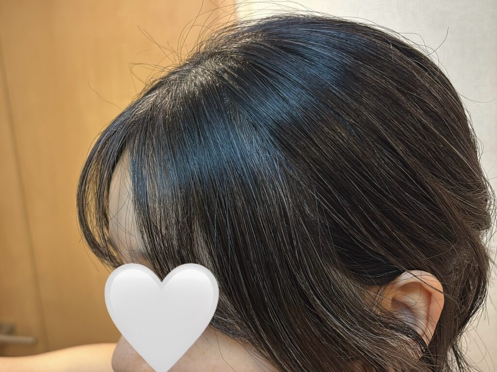 白髪と黒髪でモノトーンカラーになってきた髪